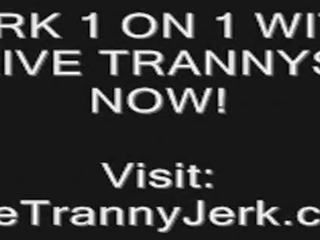 Ejaculação compilação transsexual webcam
