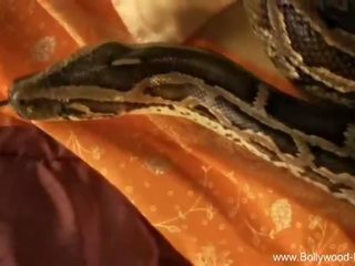 Bollywood kaus kaki panjang yg halus: kecil mungil putri ejekan dengan ular bollywood gaya