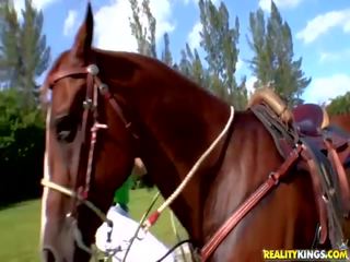 Rondborstig latina equestrienne cynthia knal neuken